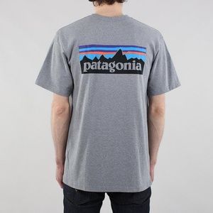 Patagonia gray t-shirt w/ logo on back, size L